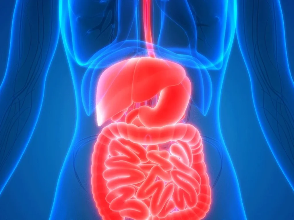 تحسين صحة الجهاز الهضمي