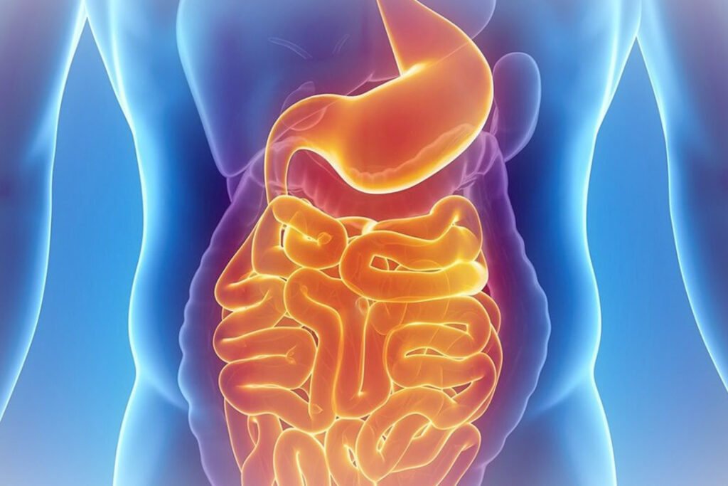 تحسين صحة الجهاز الهضمي
